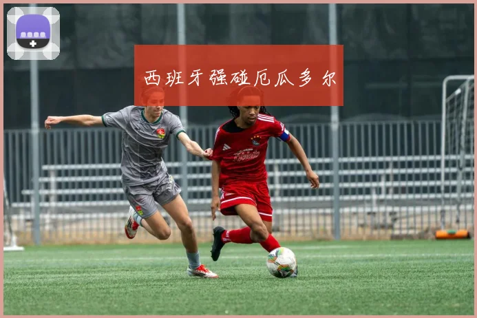 西班牙强碰厄瓜多尔
