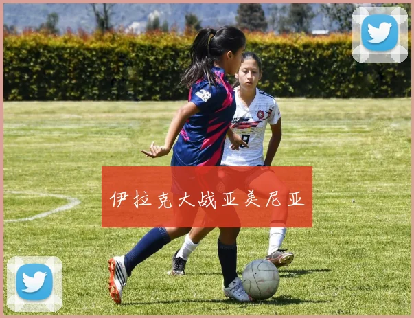 伊拉克大战亚美尼亚