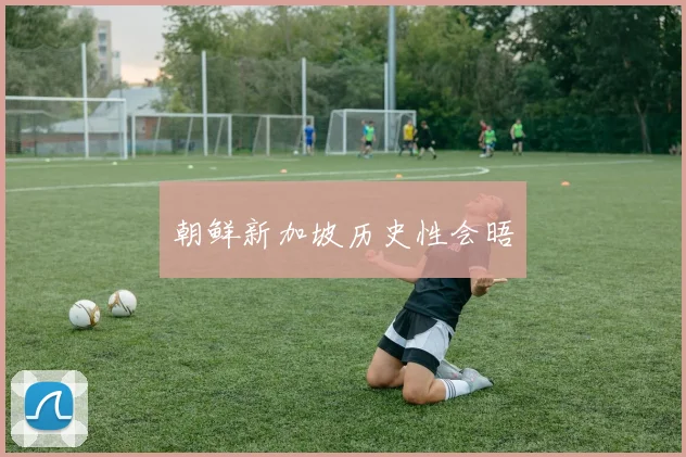 朝鲜新加坡历史性会晤