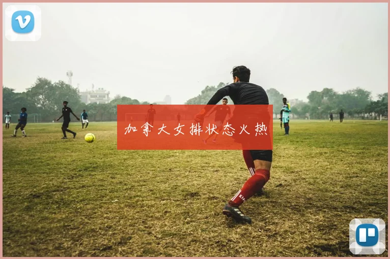 加拿大女排状态火热