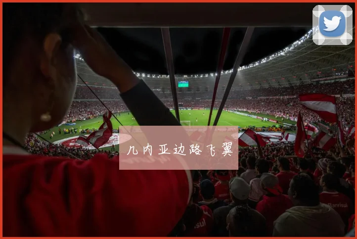 几内亚边路飞翼