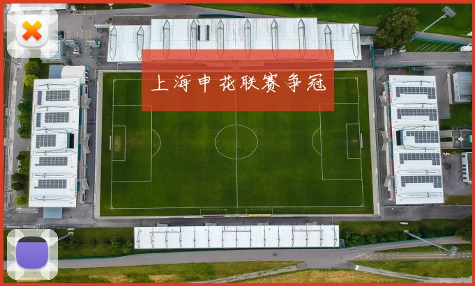上海申花联赛争冠