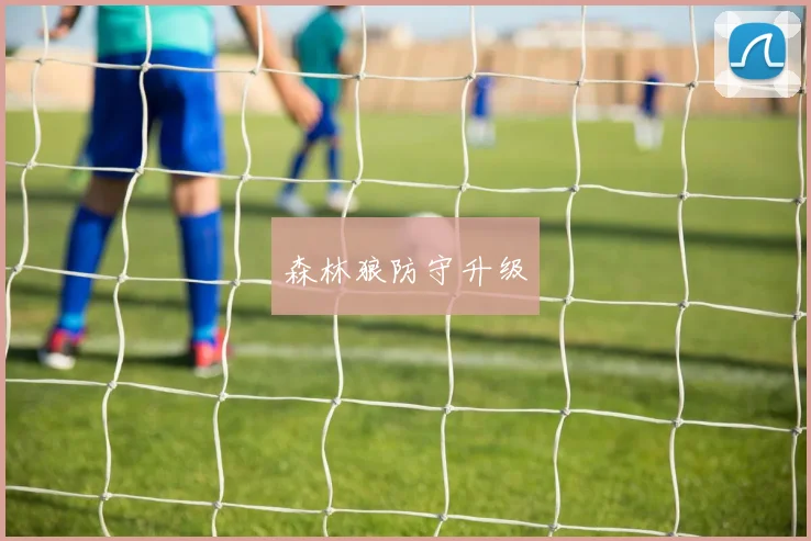 森林狼防守升级
