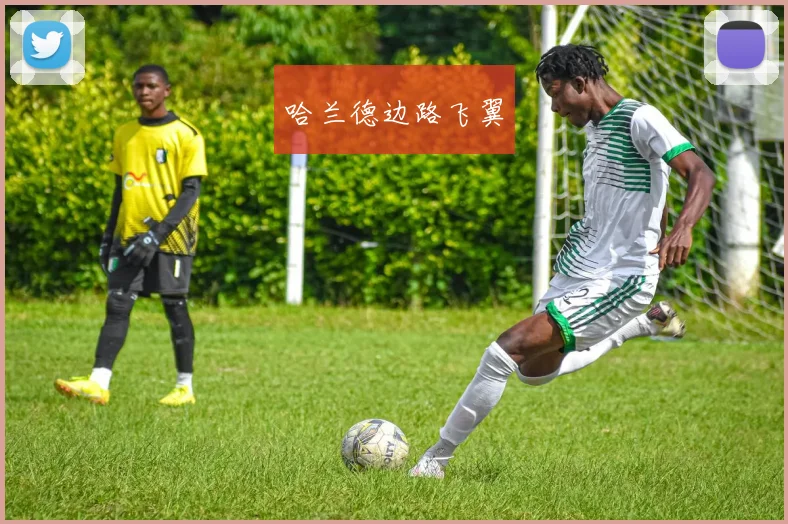 哈兰德边路飞翼