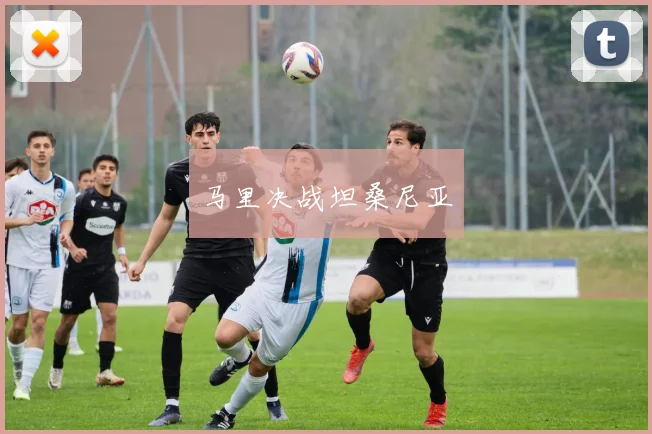 马里决战坦桑尼亚