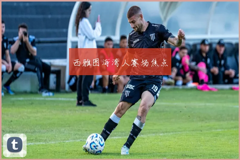 西雅图海湾人赛场焦点