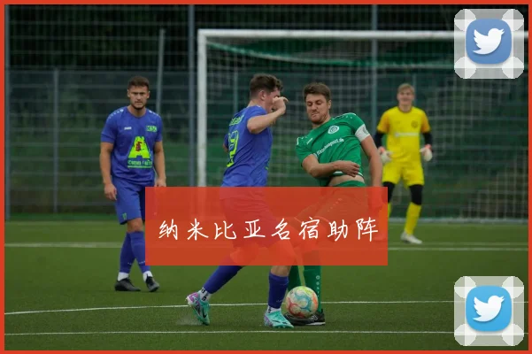 纳米比亚名宿助阵
