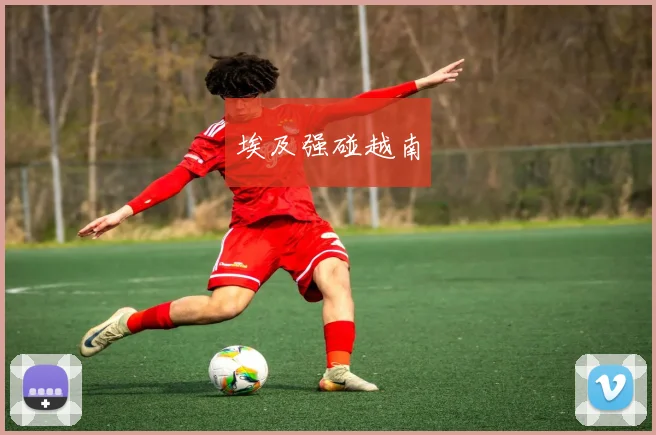 埃及强碰越南