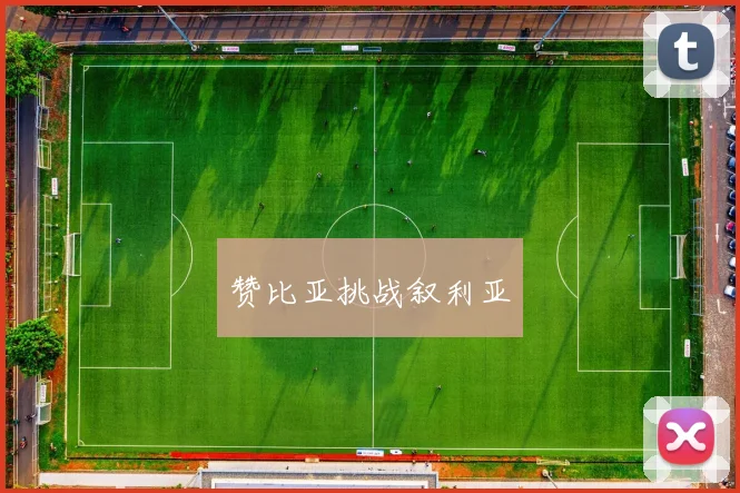 赞比亚挑战叙利亚