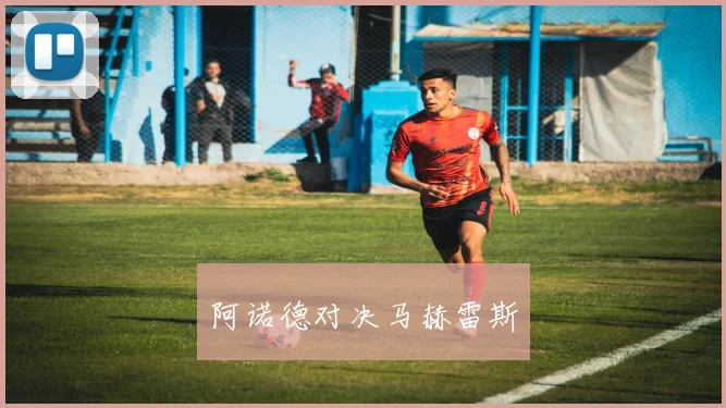 阿诺德对决马赫雷斯