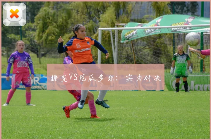 捷克VS厄瓜多尔：实力对决