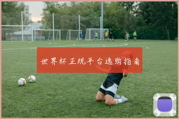 世界杯正规平台选购指南