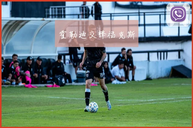 霍勒迪交锋福克斯