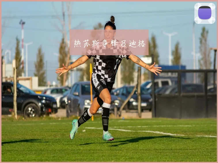 热苏斯争锋吕迪格