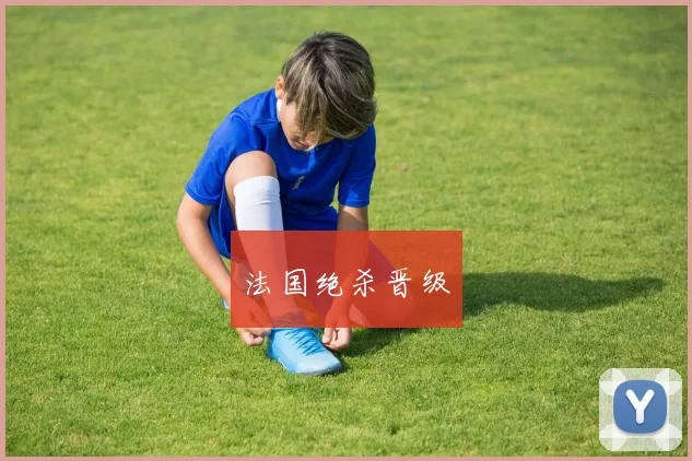 法国绝杀晋级