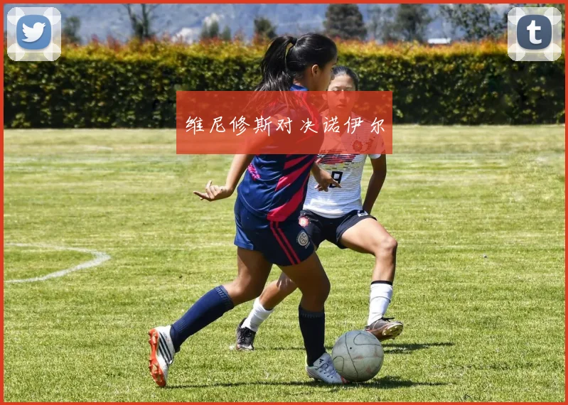 维尼修斯对决诺伊尔