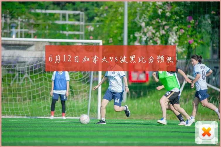 6月12日加拿大vs波黑比分预测