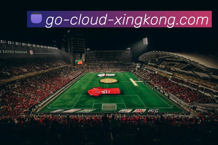 关于星空app登录入口