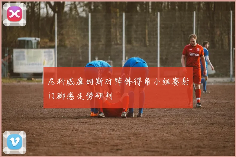 尼科威廉姆斯对阵佛得角小组赛射门脚感走势研判