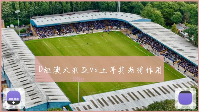 D组澳大利亚vs土耳其老将作用